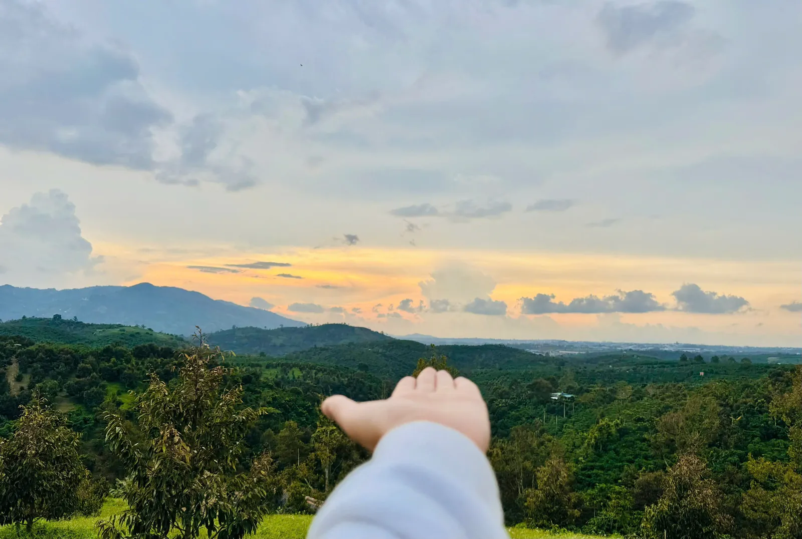 Hoàng hôn nhìn từ khu vườn The Feli