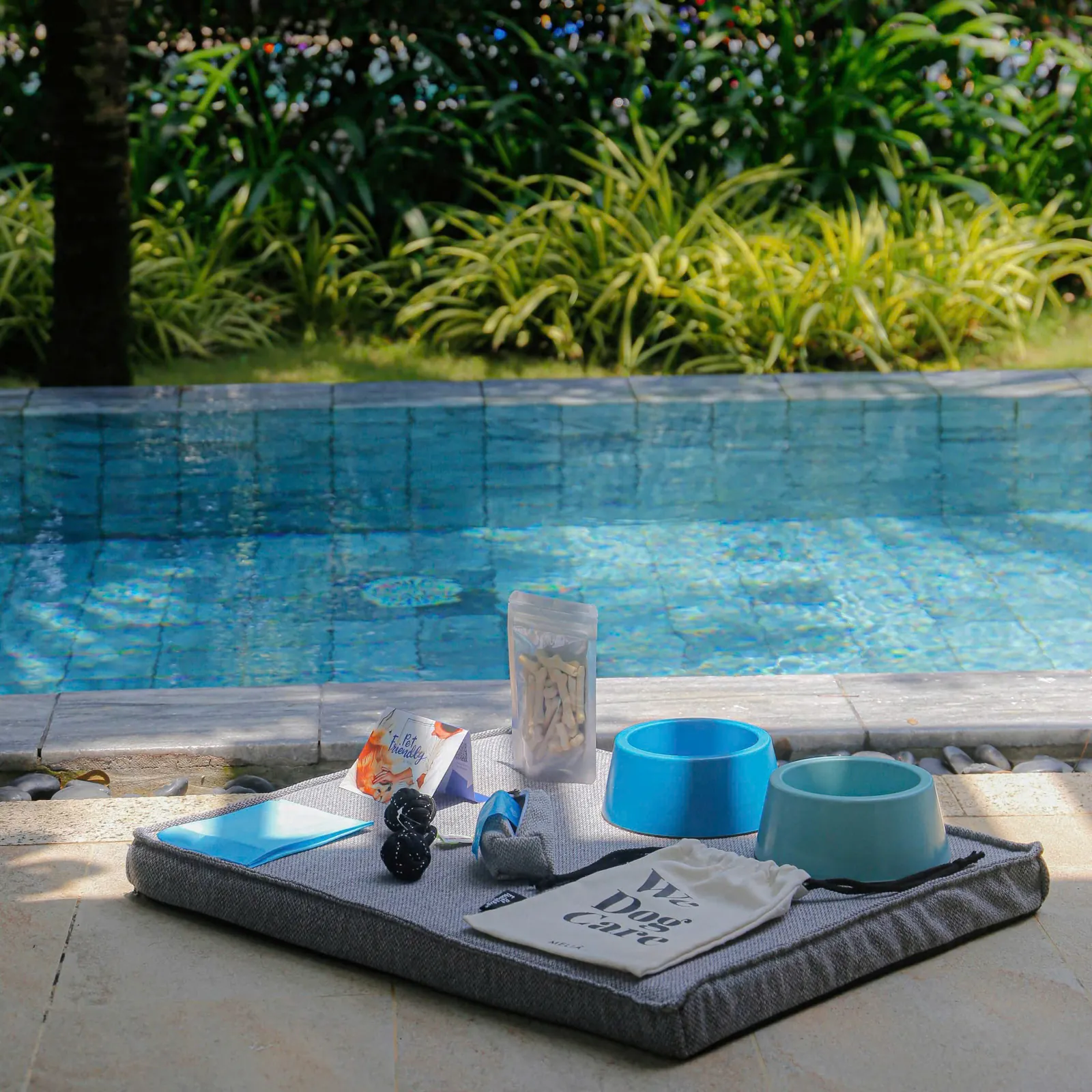 Khu vực dành cho thú cưng bên hồ bơi