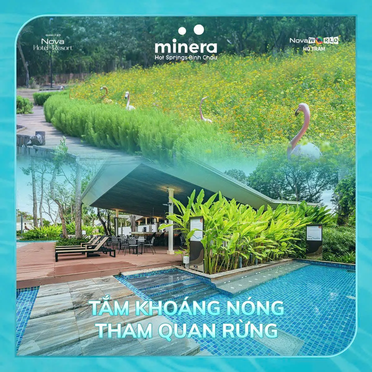 Công viên rừng Minera Forest nhìn từ trên cao